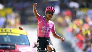 Stage winner almost hits overzealous fan in gruelling Tour de France climb - ABC News & Headlines - Australian Broadcasting Corporation