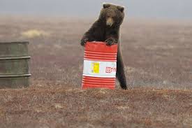 images?q=tbn:ANd9GcTMgAB0cFwPA0XnGl2NNCBLWQPE_7DbHOB_5Ny-FsPym-owLggf