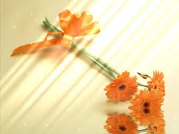 Image result for animated butterflies wallpaper