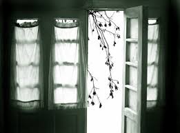 Image result for ‫بی تودنیای من ای دوست پر از تنهایی است‬‎