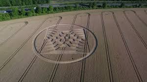 Aerial view circling towards Micheldever curving wave crop square on Hampshire wheat field 2023 | Premium Stock Video Footage