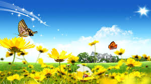 Image result for flowers wallpapers 3d