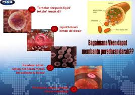 Hasil carian imej untuk STOKIN VKEN