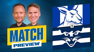 afl.com.au - News update