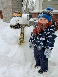 Fox Chapel Area School District residents dig out after record-breaking snowstorm