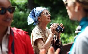 Image result for Bird watchers