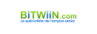 Bitwiin emploi senior