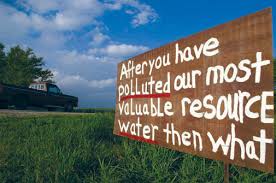 Image result for cafo