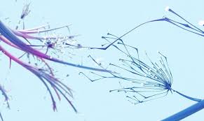 McKinsey & Company - News update