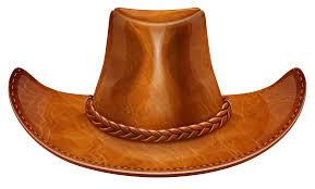 Image result for cowboy hats