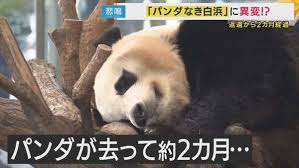 au Webポータル - News update