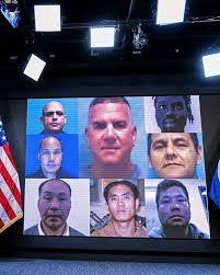 ICE Agents Stranded in Africa Amid Deportation Dispute