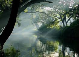 Image result for Alappuzha»Kuttanad Backwaters