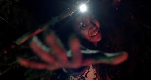Image result for bruxa de blair 2016