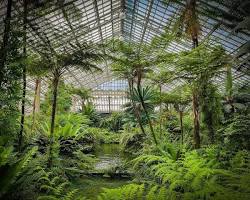 Image of Garfield Park Conservatory Chicago