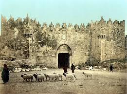 Bildergebnis für ‫صور فلسطينية قديمة‬‎