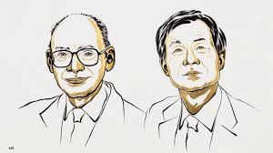 Henri Kagan y Kenso Soai recibieron el Premio Nobel de Química por desentrañar el misterio de las moléculas espejo