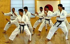 Image result for japanese karate