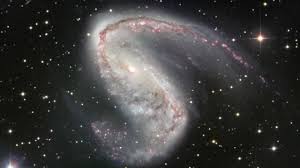 Image result for galaxy  NGC 2442