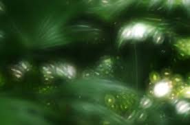 Résultat de recherche d'images pour "zone plate"