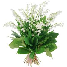 Image result for muguet porte bonheur