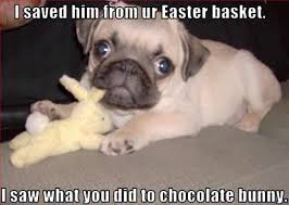 20-Funny-Easter-Facebook-Status-Quotes-Updates-2015-4.jpg via Relatably.com