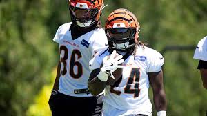 Jamal Haynes House Calls Big Touchdown Run to Seal up Bengals Undefeated 2026 Preseason