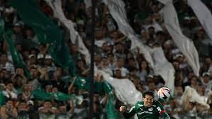 Palmeiras anuncia ingressos a preço mínimo para jogo contra o Cruzeiro