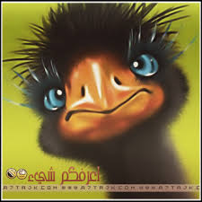 images?q=tbn:ANd9GcTO-lOq7SxrN4SpYyiKLU5jPfS3obgbL5INswfdc06-P-bV9Ob0uA