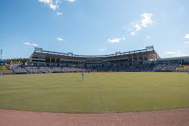 Recent LSU baseball score celebration