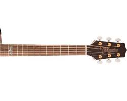 Takamine guitarsの画像