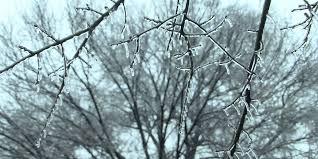 Schools closed, remote due to snow in North Carolina mountains: Full list