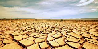 Image result for drought