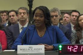 ActBlue CEO Testifies on Organization's Fundraising