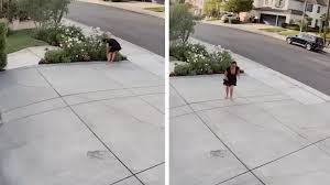 Rattlesnake Bites California Woman While She Stops to Trim Her Roses