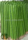 Green bamboo stakes