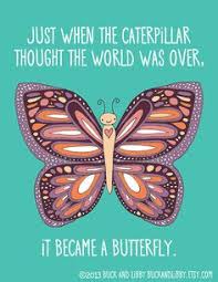 Butterfly Quotes on Pinterest | Hummingbird Quotes, Quotes About ... via Relatably.com