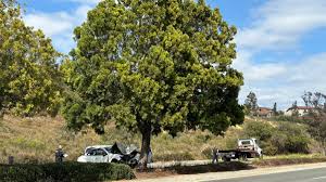 14-year-old girl killed, multiple injured in San Carlos car crash: SDPD
