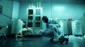 Image result for genetic engineering animals