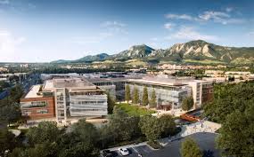 Image result for google campus