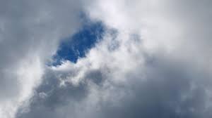 Smarter Farming: Microirrigation Systems and IoT Revolutionize Agriculture