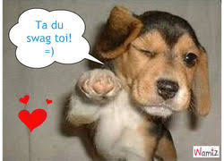 Résultat de recherche d'images pour 