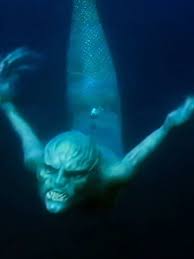 Deep Sea Divers Discover Mermaids Off Gold Coast | TikTok