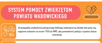 samorzad.gov.pl - News update
