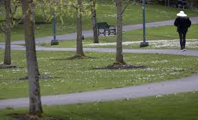 Seattle Weather: A Week of Rain and Cooler Temperatures