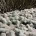 Ice becomes a big concern as winter storm moves through
