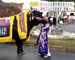 うるま市成人式 伝統芸能の画像