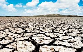 Resultado de imagem para IMAGENS DO SERTÃO