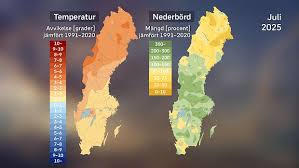 SVT Nyheter - News update