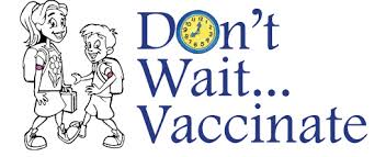 Image result for vaccines good or bad